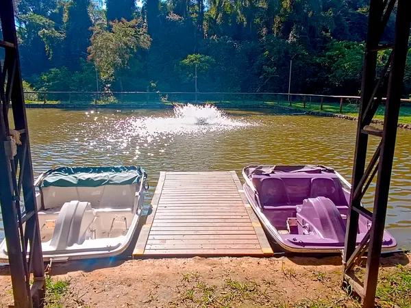 Pedalinhos atracados no lago