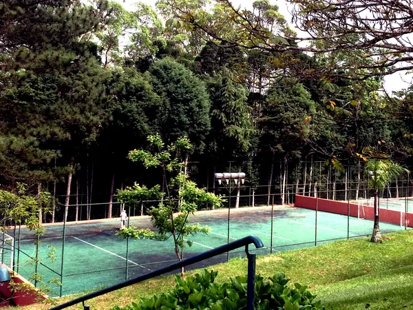 Quadra de tênis cercada por árvores