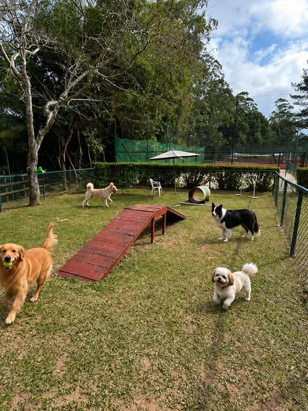 Espaço pet